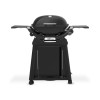 Weber Q série